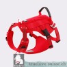 Harnais pour chien Truelove MANLEY - TLH7011 | TrueLove Suisse