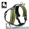 Harnais pour chien Truelove Forest - TLH5551 | TrueLove Suisse