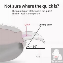 Coupe-griffes Truelove | TrueLove Suisse