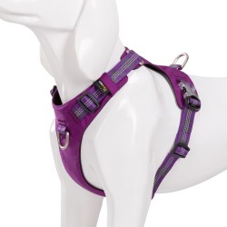 harnais pour chien truelove colorado + - TLH6282 | TrueLove Suisse