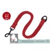 Laisse pour chien Truelove Extend - TLL2971 | TrueLove Suisse