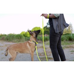 Laisse pour chien PVC Truelove KARELI - TLL3211 | TrueLove Suisse