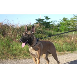 Laisse pour chien PVC Truelove KARELI - TLL3211 | TrueLove Suisse