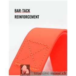 Laisse pour chien PVC Truelove KARELI - TLL3211 | TrueLove Suisse