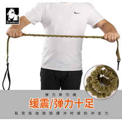 Laisse pour chien Truelove Flow - TLL2281 | TrueLove Suisse