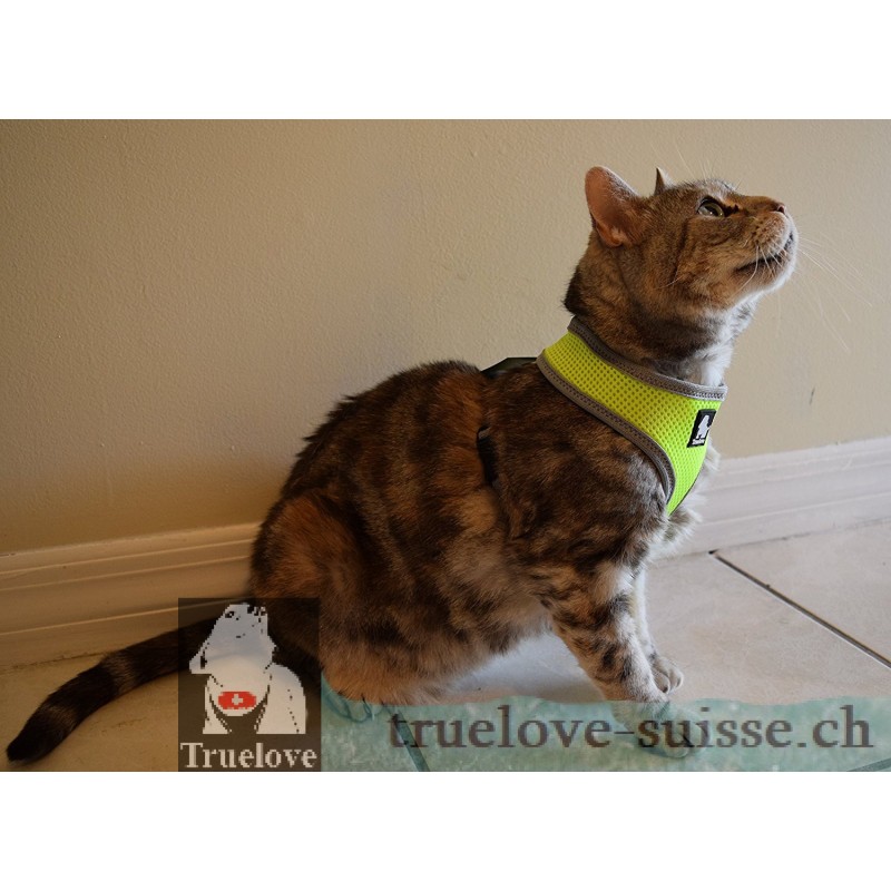 Harnais pour chien Truelove Saloon - TLH1911 | TrueLove Suisse