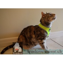 Harnais pour chien Truelove Saloon - TLH1911 | TrueLove Suisse