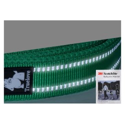 Laisse réfléchissante Truelove 110 cm