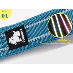 Laisse réfléchissante Truelove 110 cm