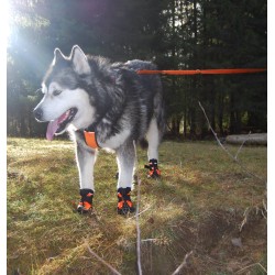 2 Chaussons Truelove Shoe - TLS4861 | TrueLove Suisse