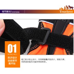 2 Chaussons Truelove Shoe - TLS4861 | TrueLove Suisse