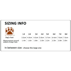 2 Chaussons Truelove Shoe - TLS4861 | TrueLove Suisse