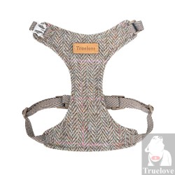 Kit Harnais & Laisse Truelove TLH2912 Petit Chien | TrueLove Suisse