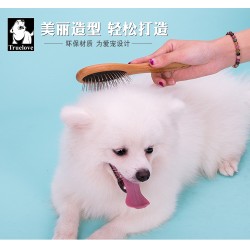 Brosse Bambou Truelove Energie - TLK-19131 | TrueLove Suisse